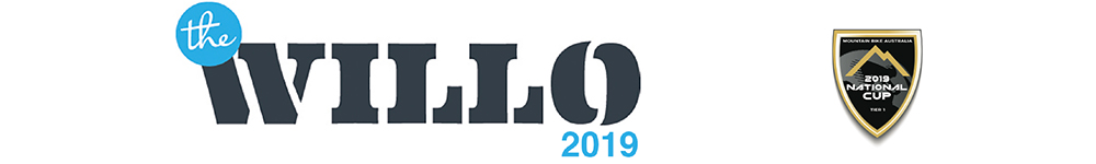 Willo 2019 website header